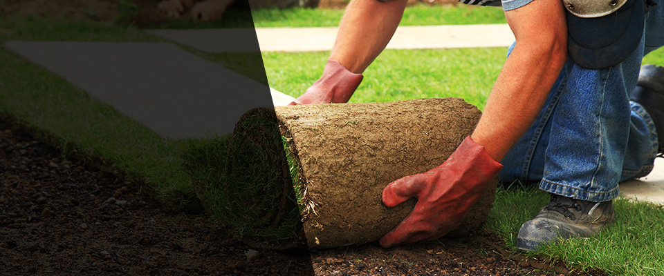 Budd Lake Landscapers